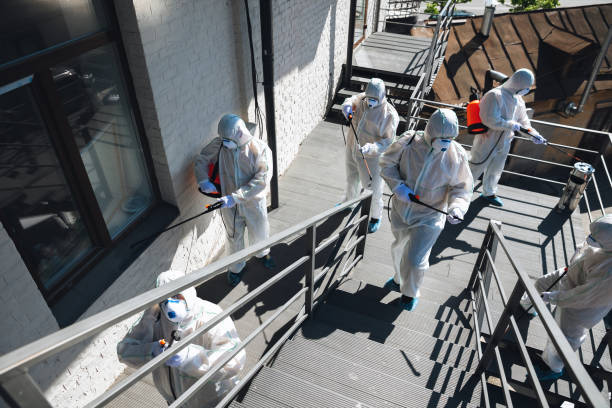 Best Basement Mold Removal  in Barberton, OH